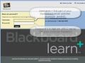 How to login to Blackboard at Saddleback College