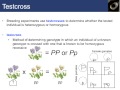 David Peters   BIOL M01 Introduction to Biology Spring 2013 04 09 2013