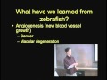 Zebrafishing for Genes