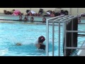 CIF Girls' Water Polo: LB Wilson vs Orange Lutheran