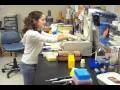 Introduction to the Life Sciences Department