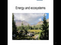 Energy in ecosystems