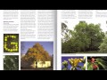 Reference Minute: Dirr's Encyclopedia of Trees & Shrubs