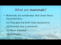 The Biology of Marine Mammals - Palomar College
