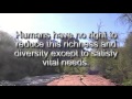 Earth Day 2013 Meditation at Cathedral Rock