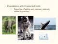 Linton Bowie Biology 102 Environmental Conservation Lecture 07 02022013
