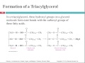 Christopher Smith   CHEM 109 Biochemistry for Health Science and Biotechnology 11162012