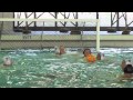 High School Boys Water Polo: Long Beach Wilson vs. Corona Del Mar