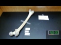 Bones Practicum - No Answer Key