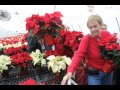 Horticulture Department Poinsettia Sale 2