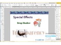 Donna Caldwell CS 72 11A Adobe InDesign 1 Special Effects Intro 04 21 2013