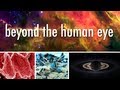 Seeing Beyond the Human Eye | Off Book | PBS Digital Studios