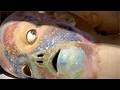 Cindy Sherman: Mannequins & Masks | Art21 "Exclusive"