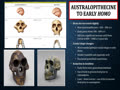 The Australopithecines and Early Genus Homo