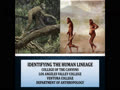 Identifying the Human Lineage and the Origin of Bipedalism (Part I)