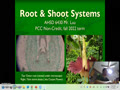 AHSD 6430 - Roots & Shoots