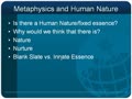 Human Nature